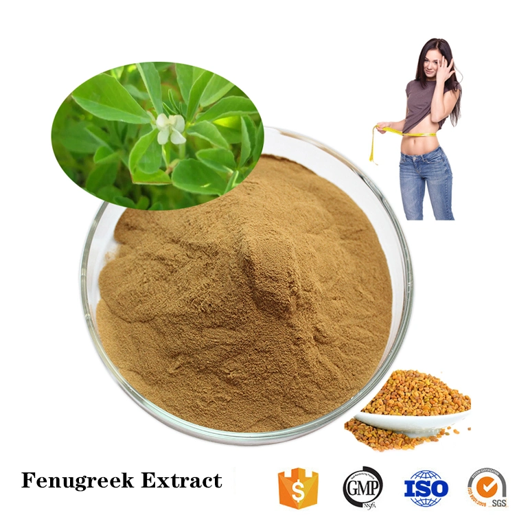 High Quality Pure Natural Fenugreek Extract Powder