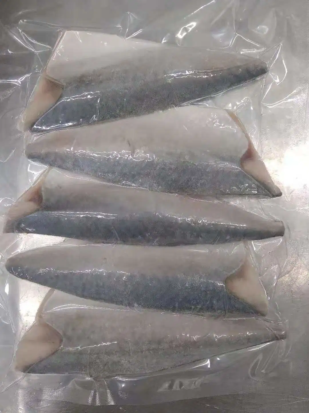 Halal Frozen Pacific Mackerel Fillet, Skin on