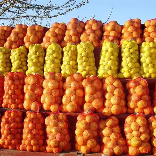 Packing PP Vegetable Net Bag, Fruit Orange Mesh Bag Net Mesh Fruit Packaging Bags