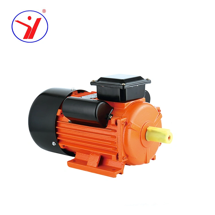 Single Phase Three Phase 100W to 3700W Electric Small AC Induction Motor