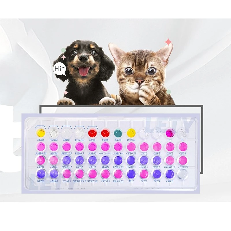 Veterinary Microbial ID/Ast System ID&Ast Test Kit Used for Diagnosing The Bacterial Infection of The Vets.