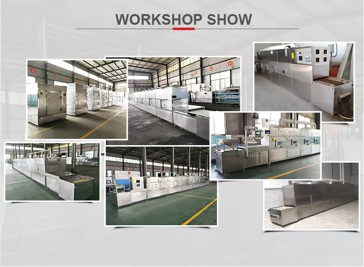 High quality/High cost performance  Easy Control Tunnel Industrial Processing Microwave Drying Machinery Equipment