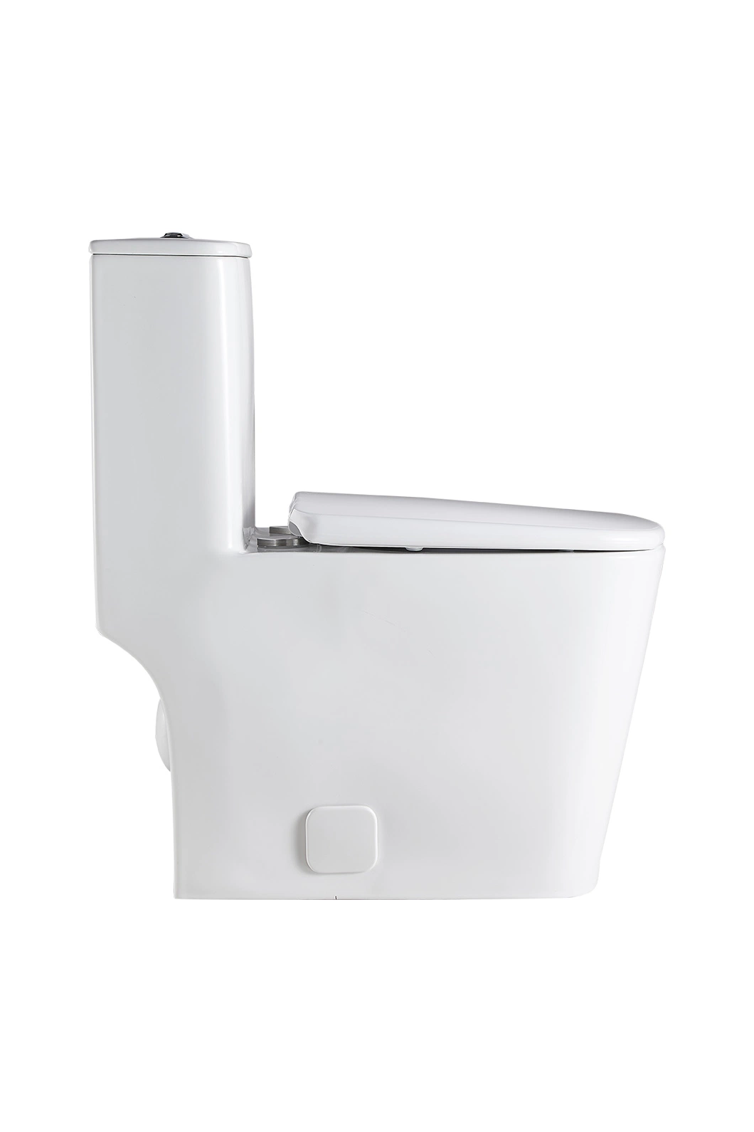 One-Piece Water Closet Wc Ceramic Porcelain Sanitary Ware CE American Standard Single Flush Toilet Bowl (BL-818-OPT)