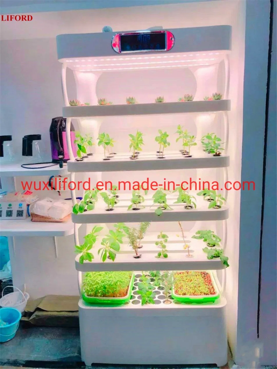 Factory Price Home Indoor Hydroponics System with Smart LED