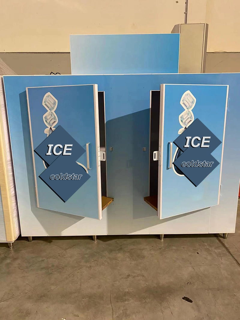 Solid Door Ice Bag Storage Room Gas Station Ice Merchandiser