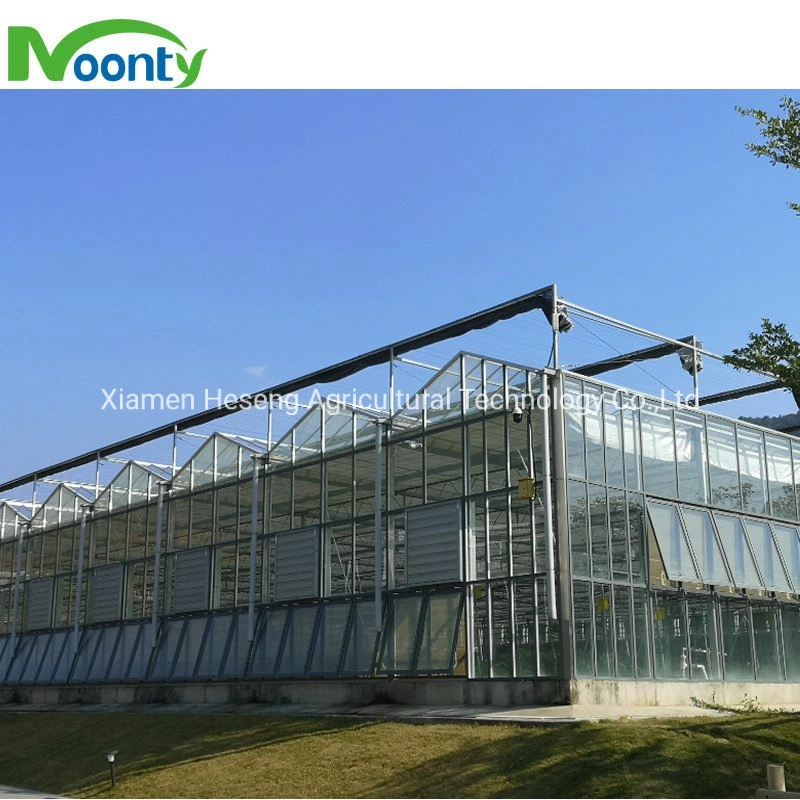 Turnkey Project Commercial Polycarbonate Glass Greenhouse with Irrigation Hydroponics System for Strawberry Cucumber Tomato Pepper Herb