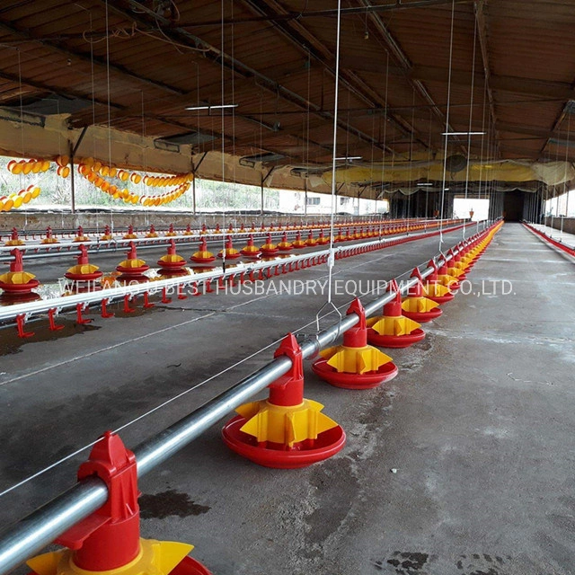 Projet complet de ferme/volaille Hangar Machine commerciale d'élevage au sol d'équipement avicole.