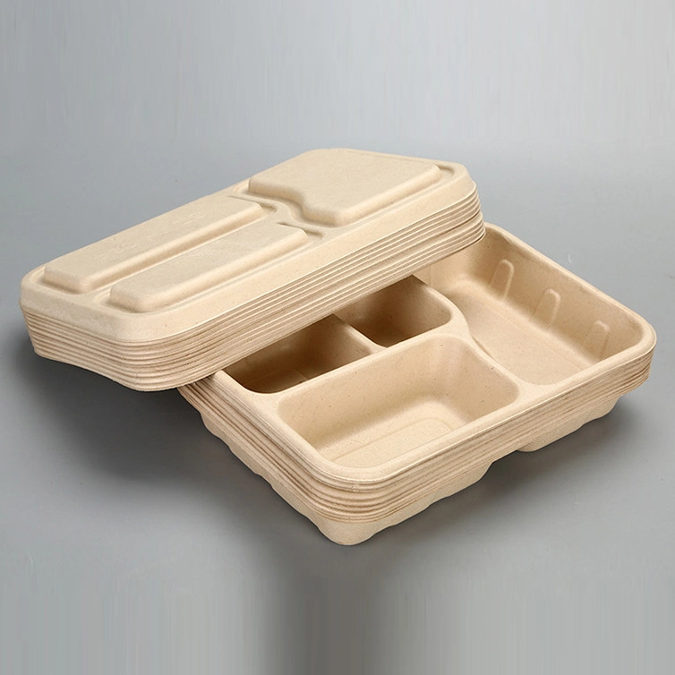 Sostenibilidad biodegradables de Comida Rápida Comida para llevar almuerzo desechables de embalaje de alimentos de bagazo el recipiente con tapa