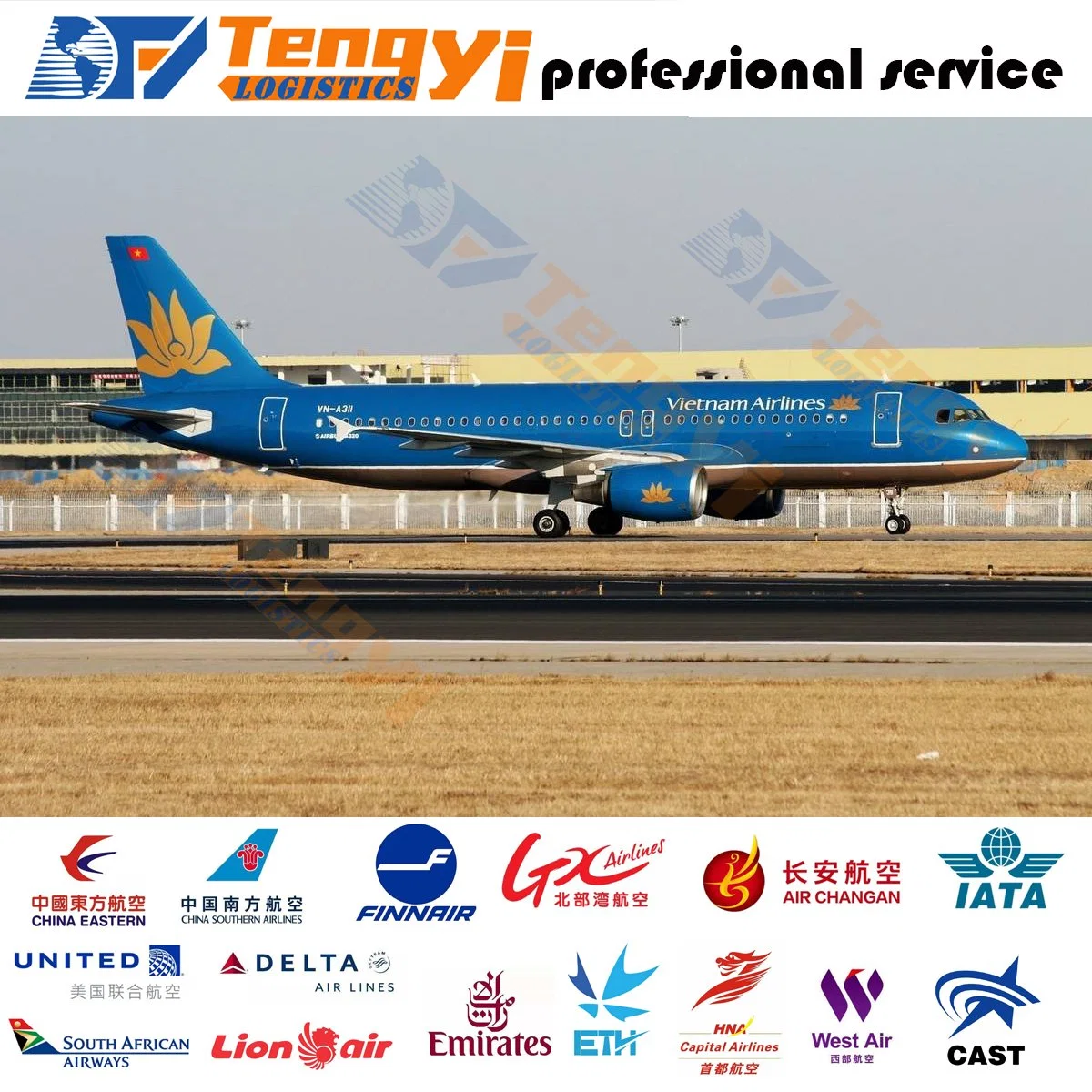 Air Cargo Cheap Rates From China to Bahia Blanca Argentina by Professional Air Shipping Logistics Service/ Fast Courier Express