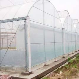 Customized Hot DIP Galvanized Steel Tunnel Hydroponics Vegetables Garden Green House with Shading System