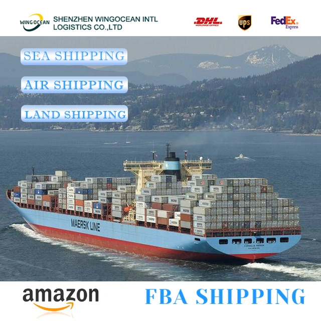 Provide Sea Transportation Services From China to USA/ Canada/ Europe