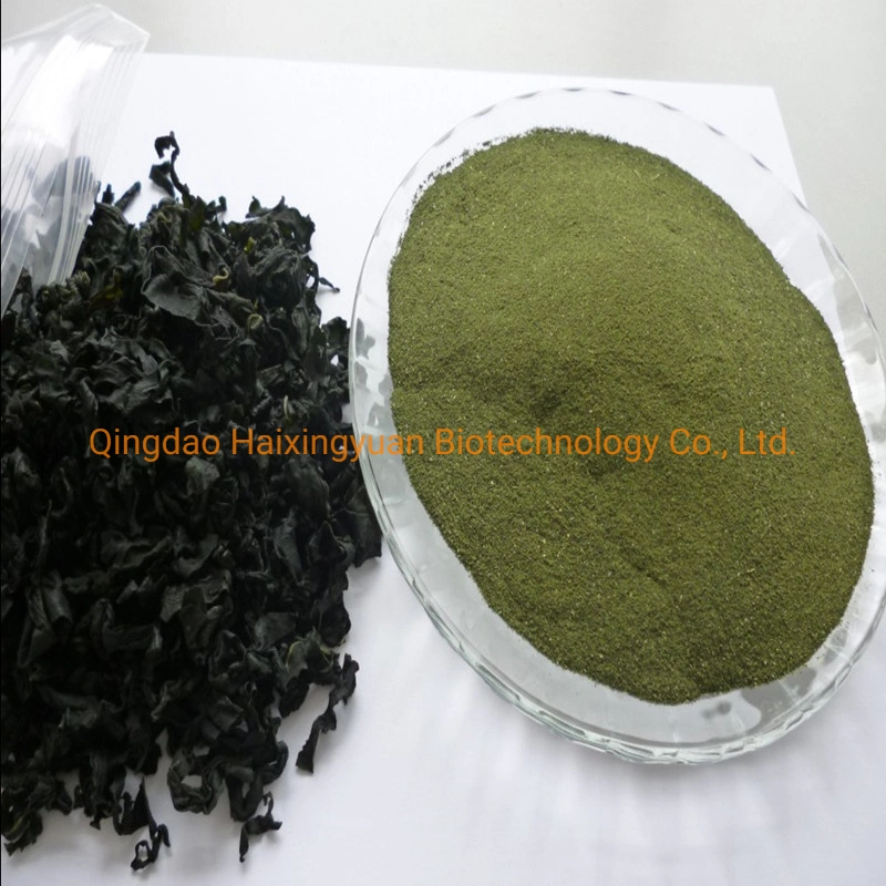 Algae Powder Feed Grade Korea Abalone Feed Wakame