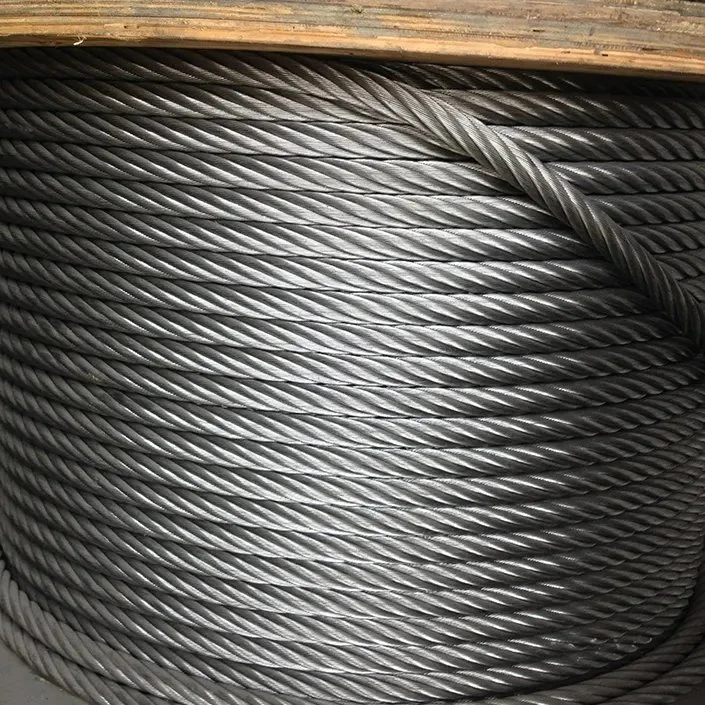 Customized 7X19 Galvanived Stainless Steel Wire Rope Nova Elevators Steel Wire Rope 8X19s+Iwrc for Price