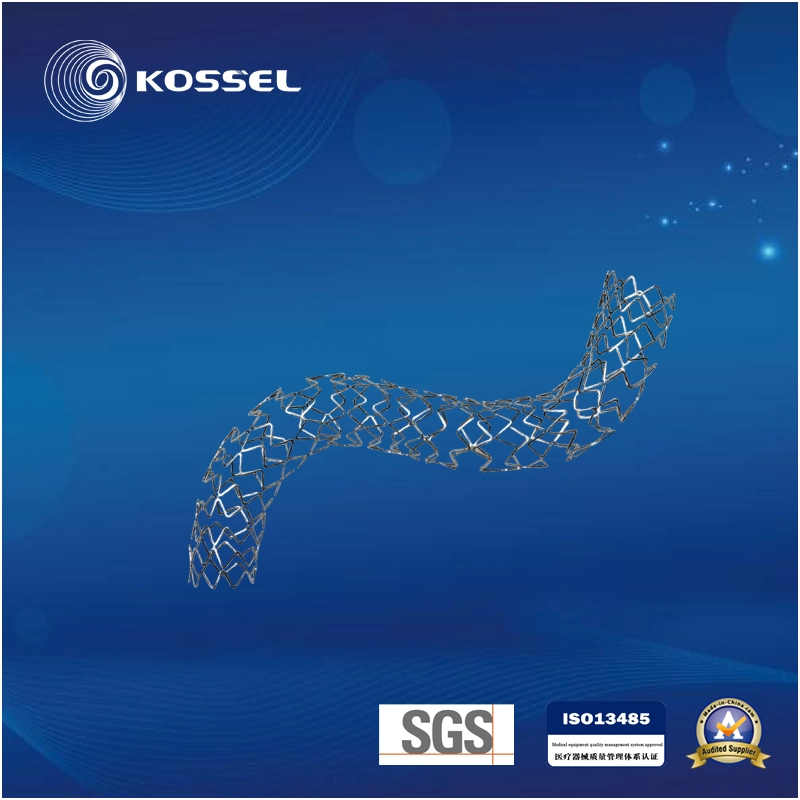 Coronary Drug-Eluting Stent System Just for Heart