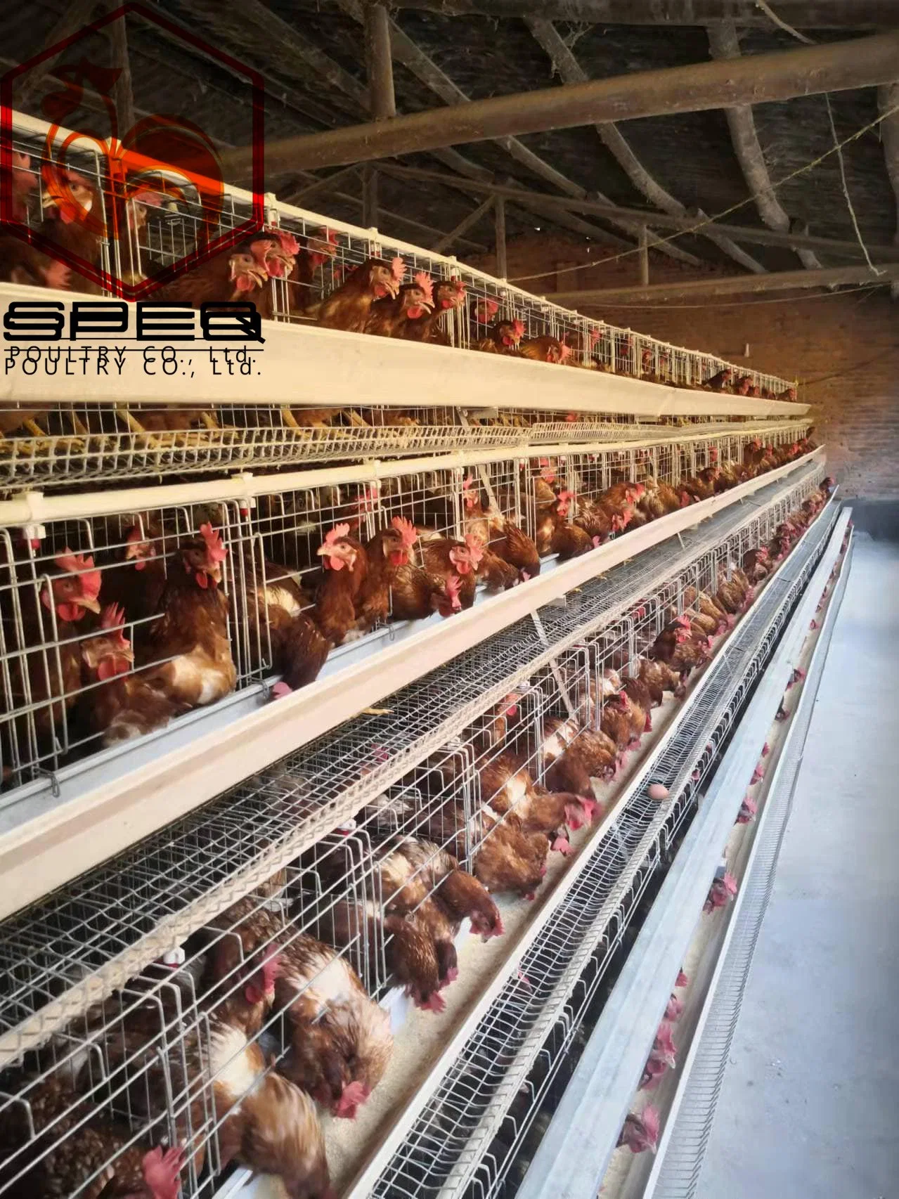 Cheap Price Livestock Machinery Durable Poultry Farm Equipment Layer Chicken Cage