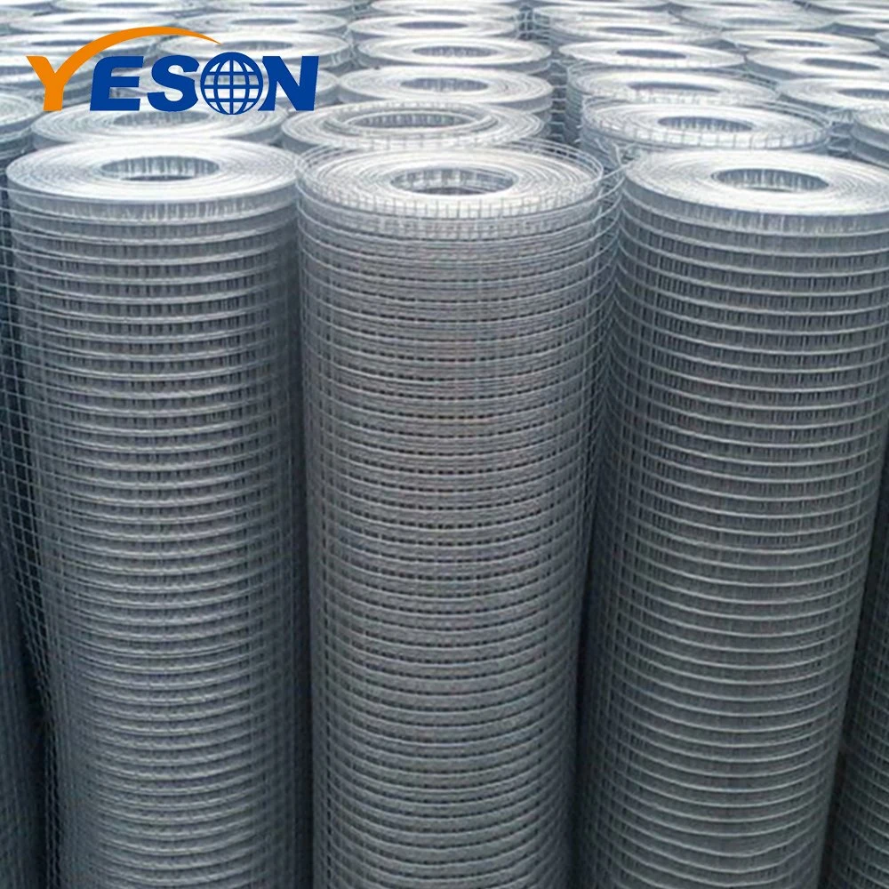 Galvanized Welded Wire Mesh for Garden Fence and Anmial Fence