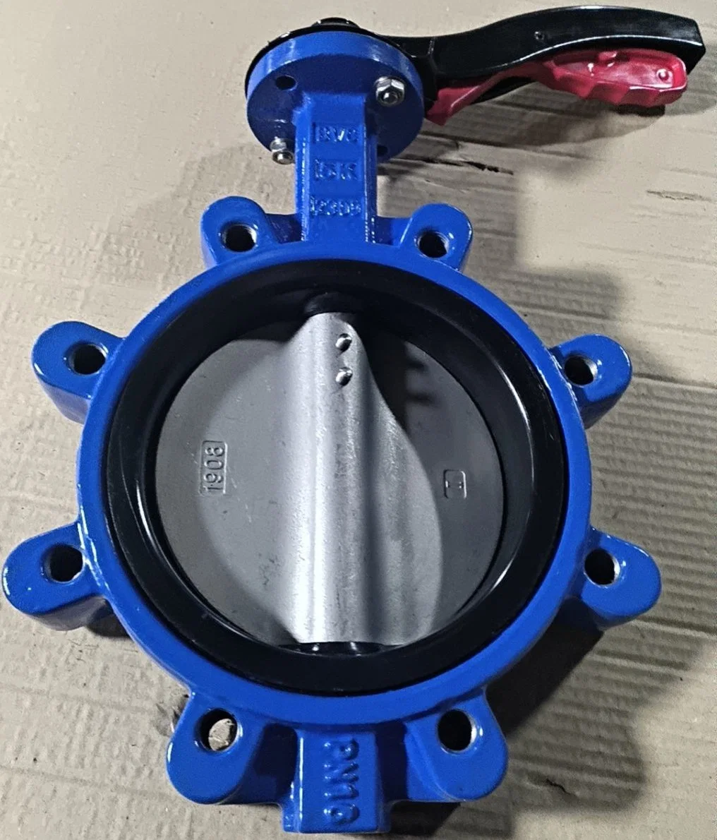 ANSI/DIN Ductile Iron/Wcb/Stainless Steel Wafer/Lug Concentric Butterfly Valve