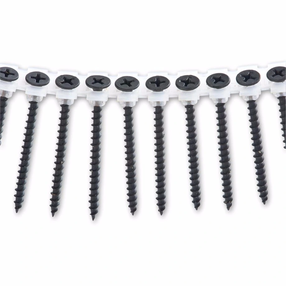 High Quality Collected Chained Drywall Screw with Fine or Coarse Thread