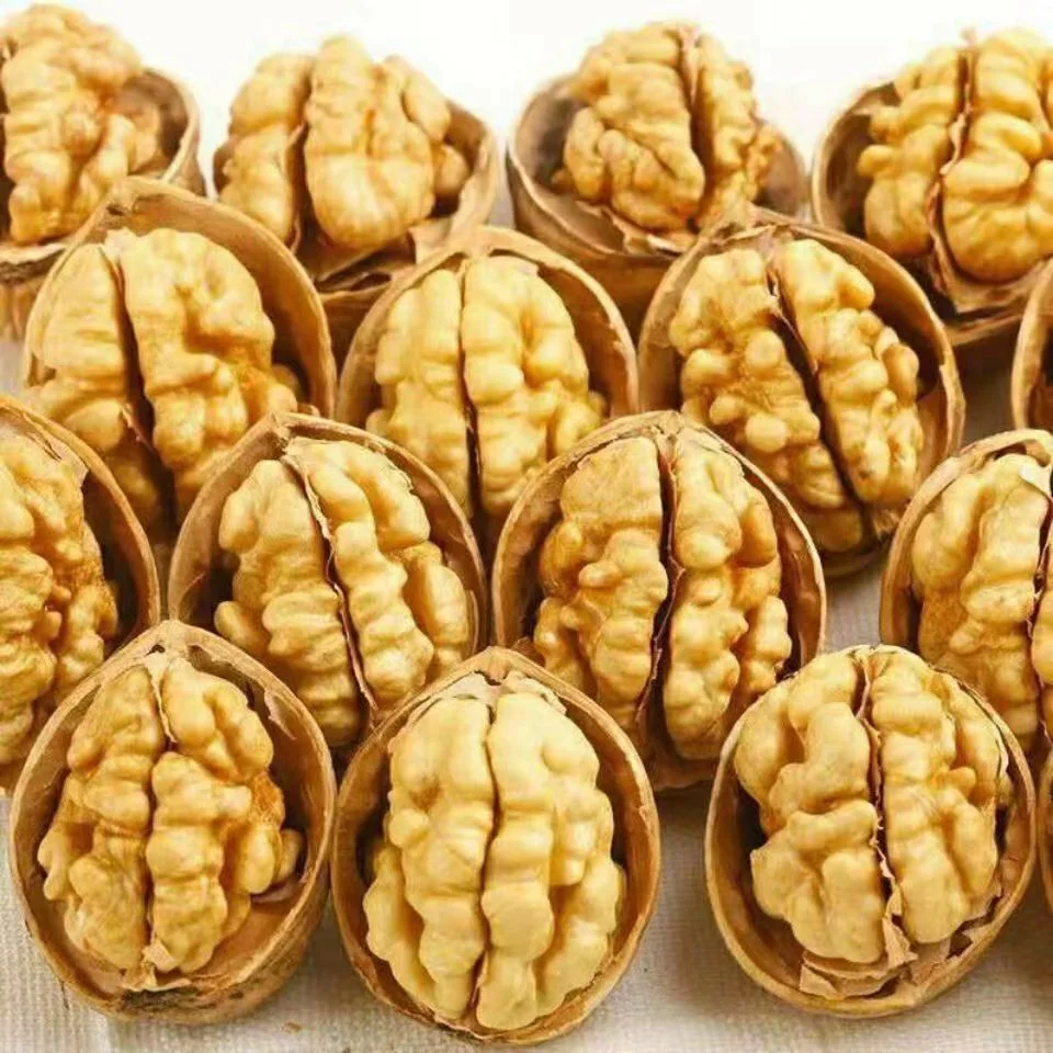 Healthy Snack Top Grade Organic Walnut Kernels Peeled Walnuts Nuts in Bulk From China Manufacturer