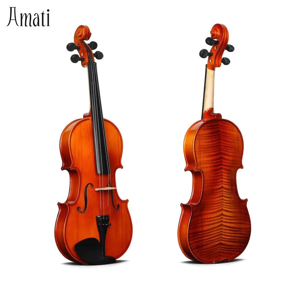 Online Shop Hot Sale Brazil Wood Cheaps Accessory with Cases Violin