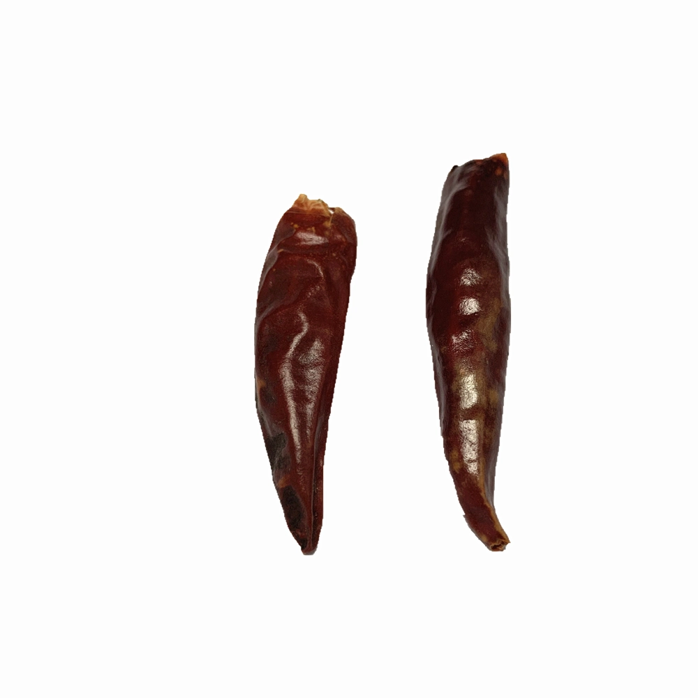 Wholesale/Supplier Best Price Factory Direct Sale Dried Red Chilli