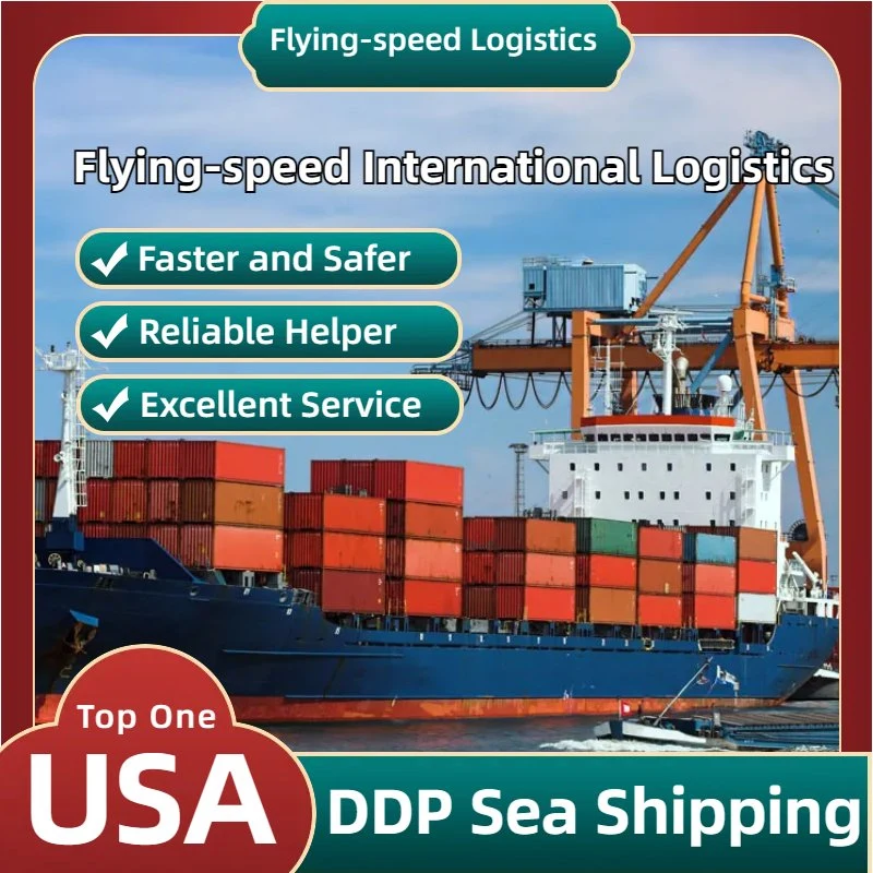 DDP لا مثيل له شحن الشحن البحري شحن وكيل الشحن البحري إلى الولايات المتحدة الأمريكية Forwarder