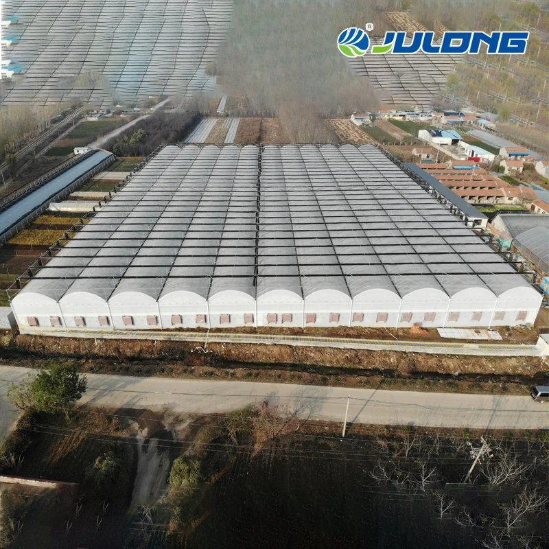 Commercial Multi-Span Tunnel Plastic Film Greenhouse Hydroponics Growing System for Tomatoes Cucumbers