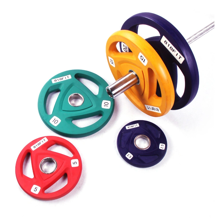 Wholesale/Supplier China Professional Barbell Weights Plates Iron Kettebell Best Gym Equipment