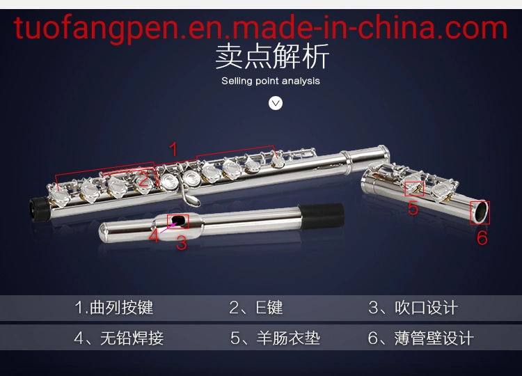 C-Foot off-Set G Closed Hole 16 Hole High quality/High cost performance  Metal Long Flute