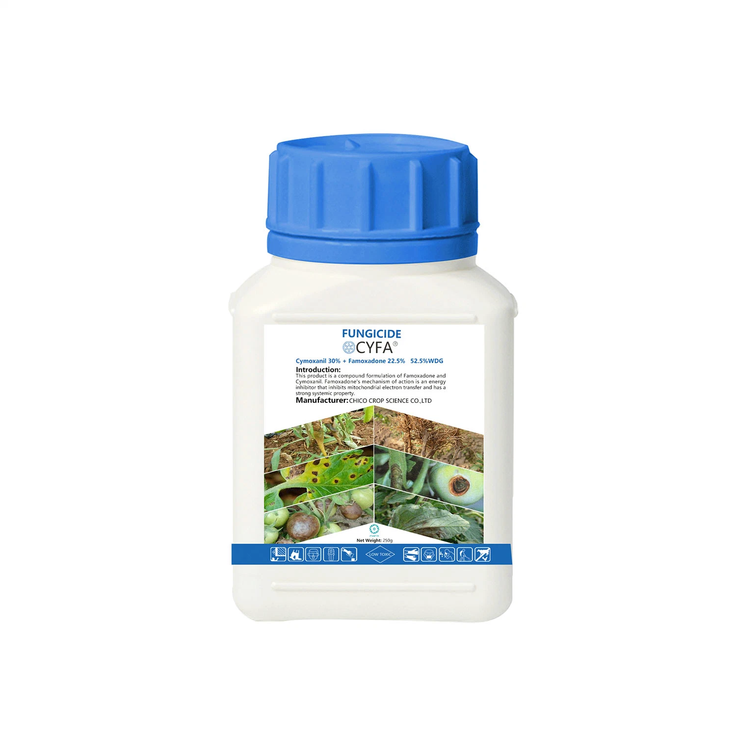 Cymoxanil 30% + Famoxadone 22.5% 52.5% Wdg Protection and Treatment Fungicide