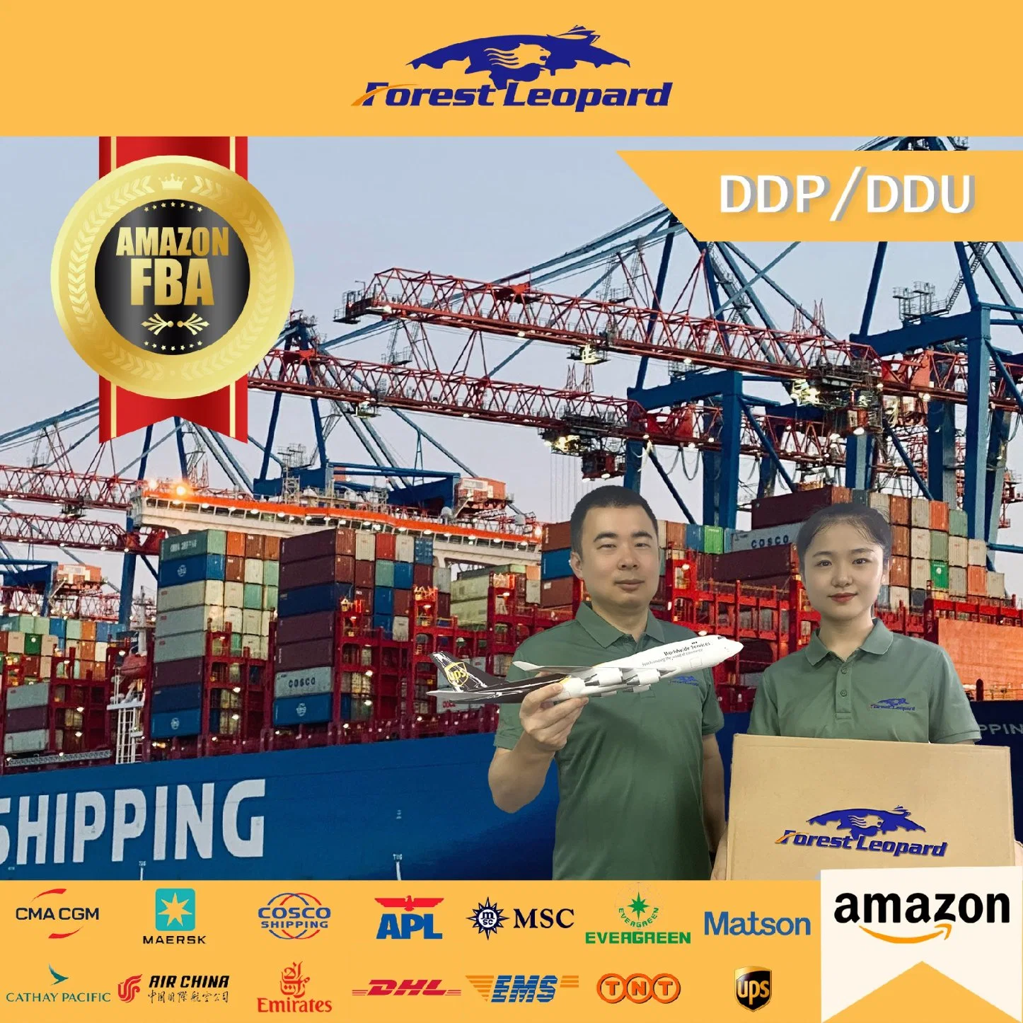 Top 10 Logistics Company DDP Door to Do Sea Shipping From China to USA Professional Sea Freight Forwarder USA Canada Fba 20days