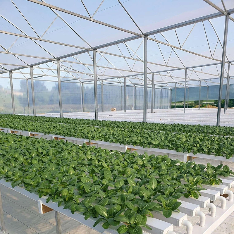 Customized PVC Channel Commercial Hydroponics Systems for Greenhouse Plant