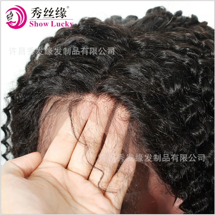 Fashion Beauty Indian Hair Women Wig Natural Kinky Curly Full Lace Remy Human Hair Wig Pre-Plucked Lace Front Wig