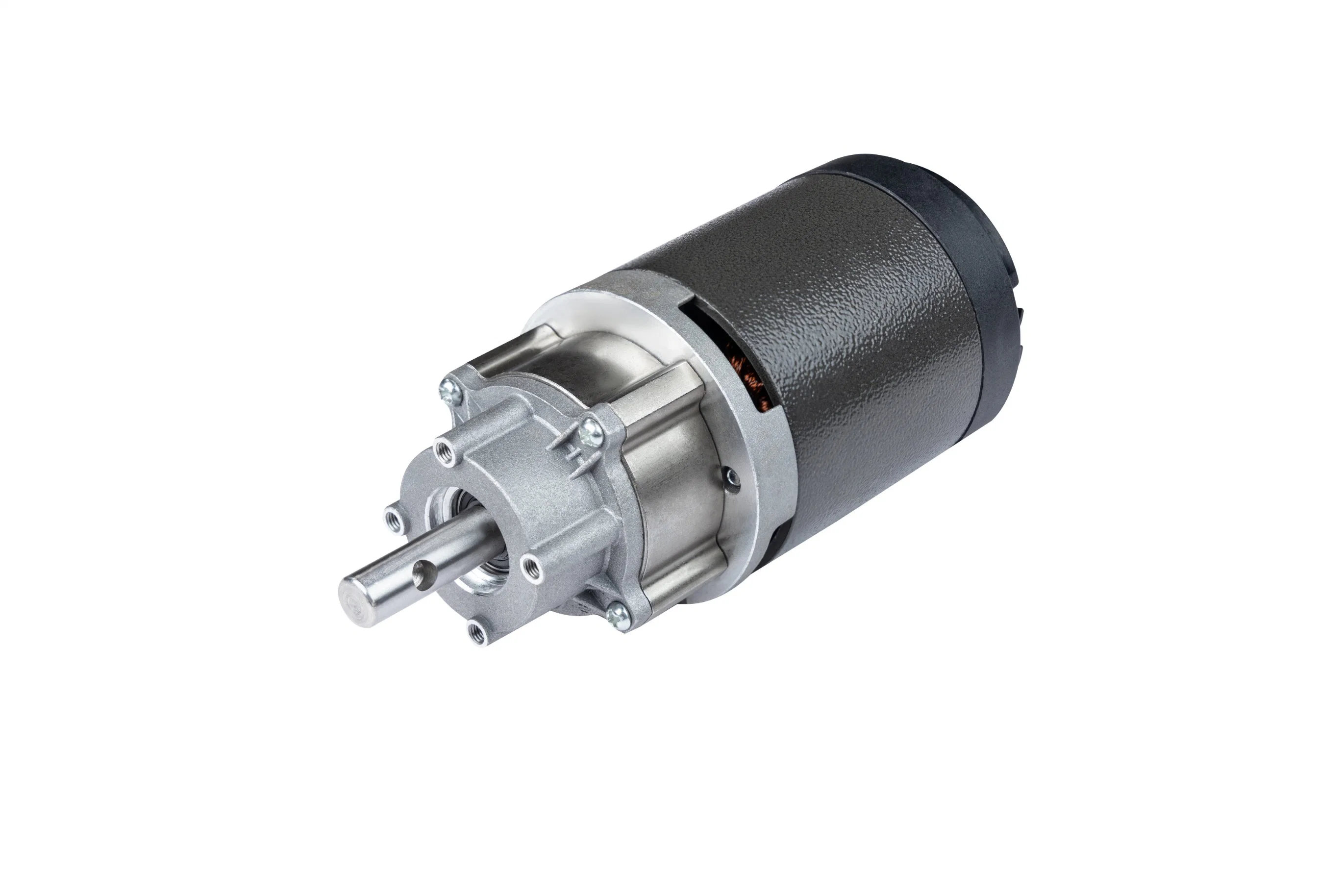 C01 Slow Juicer DC Gear Motor 220V Electrical Motors