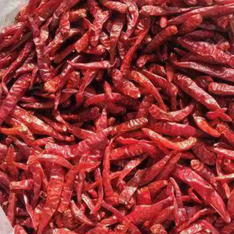 Hot High Spicy Dry Whole Chilli in China