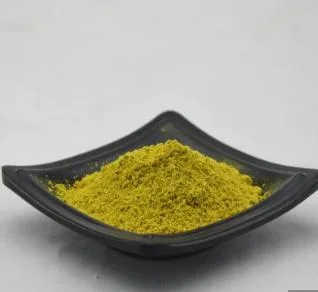 Natural and High quality/High cost performance Extract Rutin 95%