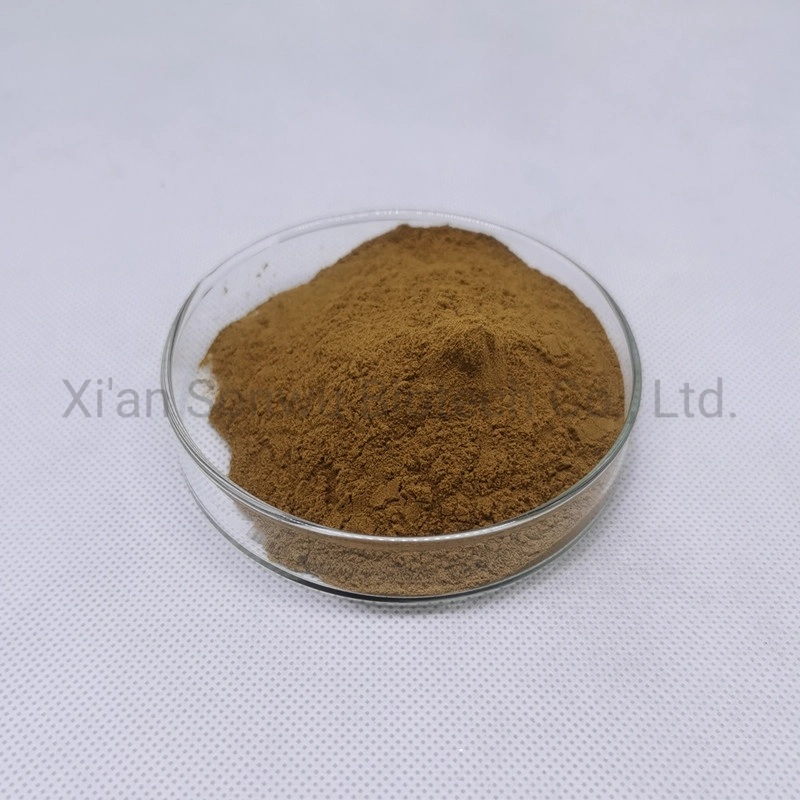 Sonwu High Quality Mulberry Leaf Extract Powder