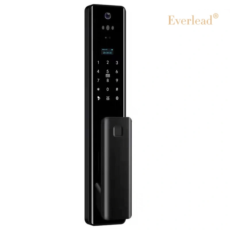 Everlead Smart Home Custom Voice RFID Card Lock APP Fingerabdruck Gate Digital Lock mit Eye Scan