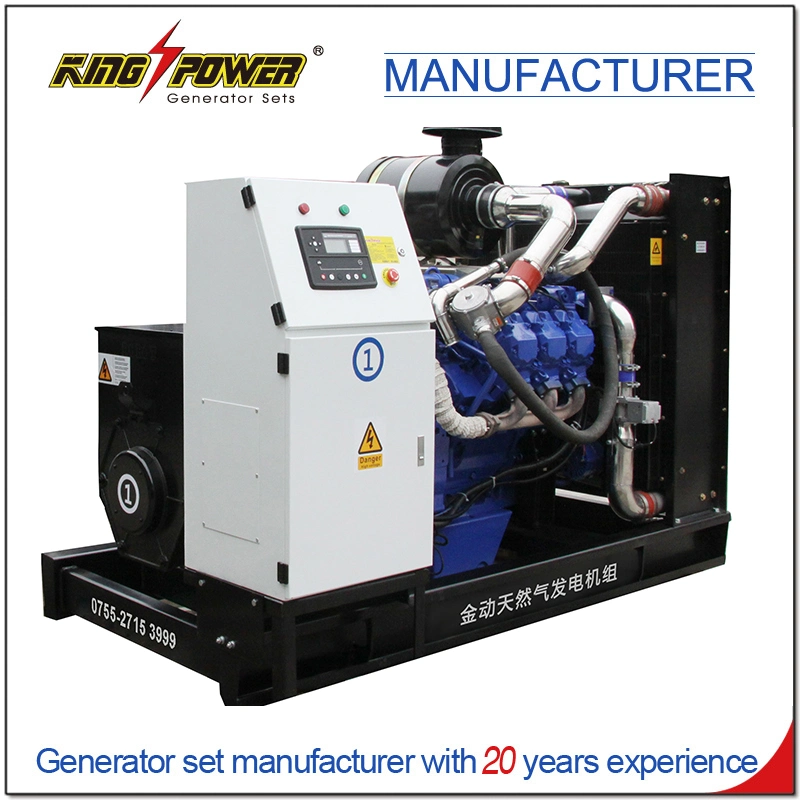 Professional Supplier of 7*24 Hours 70kw Open Silent Natural Gas Biogas CNG LNG LPG Generator