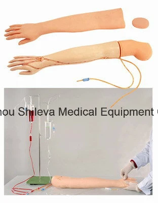 Medical Adult Venipuncture Injection Training Arm Model Medical Model Dummy