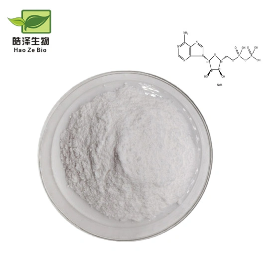 Pharmaceutical Intermediates Uridine 5 - Monophosphate (UMP) CAS 58-97-9