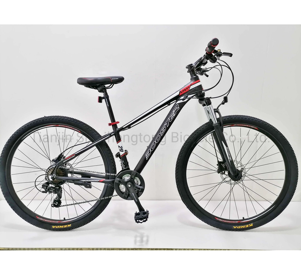 29" 24speeds Hydraulic Disc Brake MTB Bike 29inch Wheels Alloy Other Bike