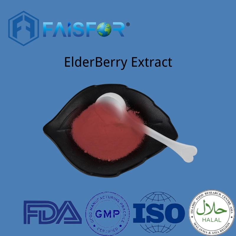Manufacturer Supply High Quality Vitamin Elderberry Extract Powder for Weight Loss