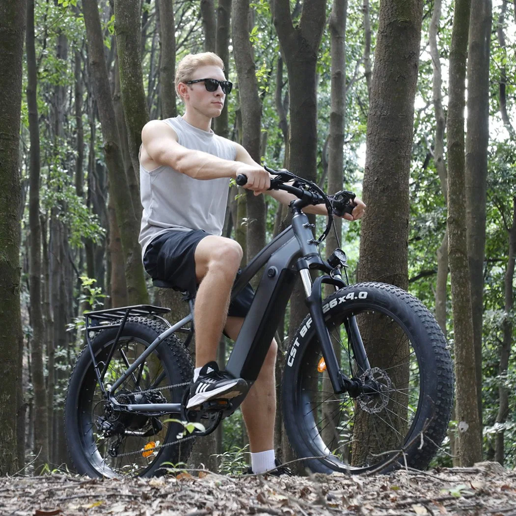 Superior Quality Mountain Bike for Adult 48V 16ah Electric Bike