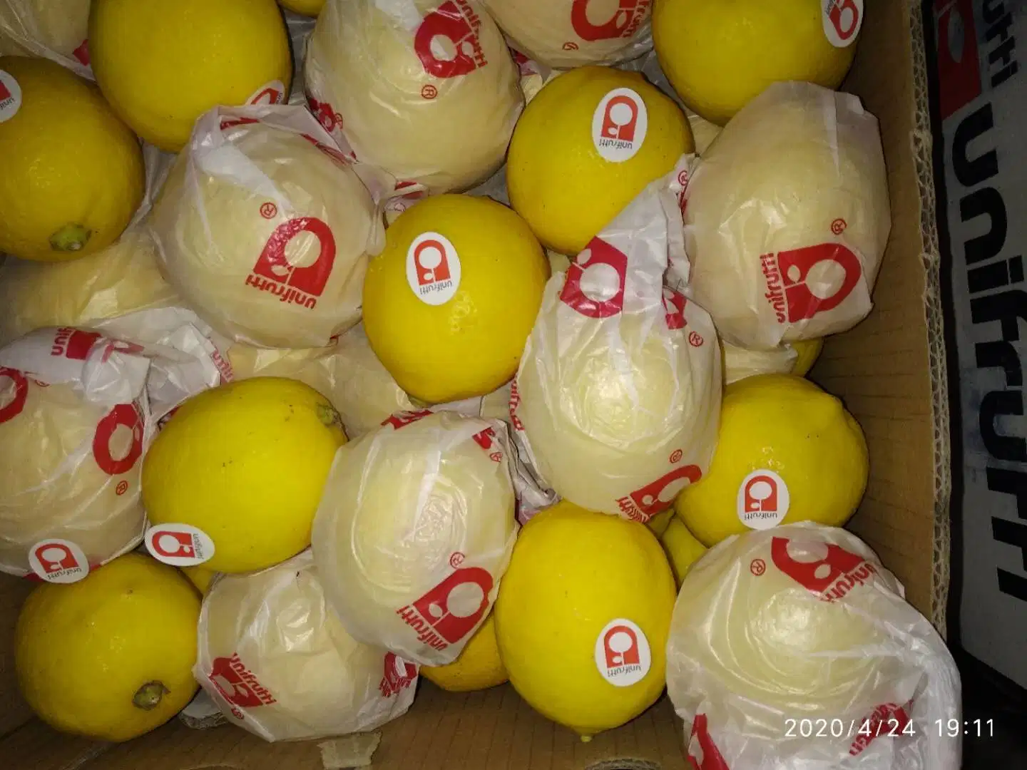 Fresh Fruits Wholesale Fresh Citrus Fruit Yellow Lemon