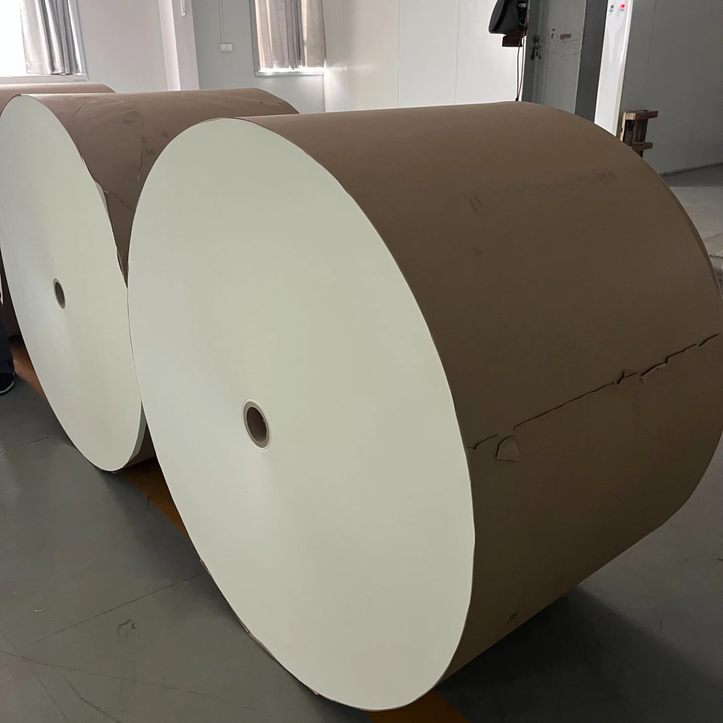 Food Grade PE Coated Paper for Make Paper Cup and Bowl