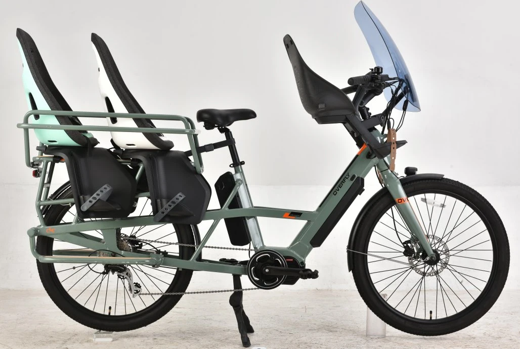 36V 250W/48V 500W MID-Motor 26inch bicicleta eléctrica cargo