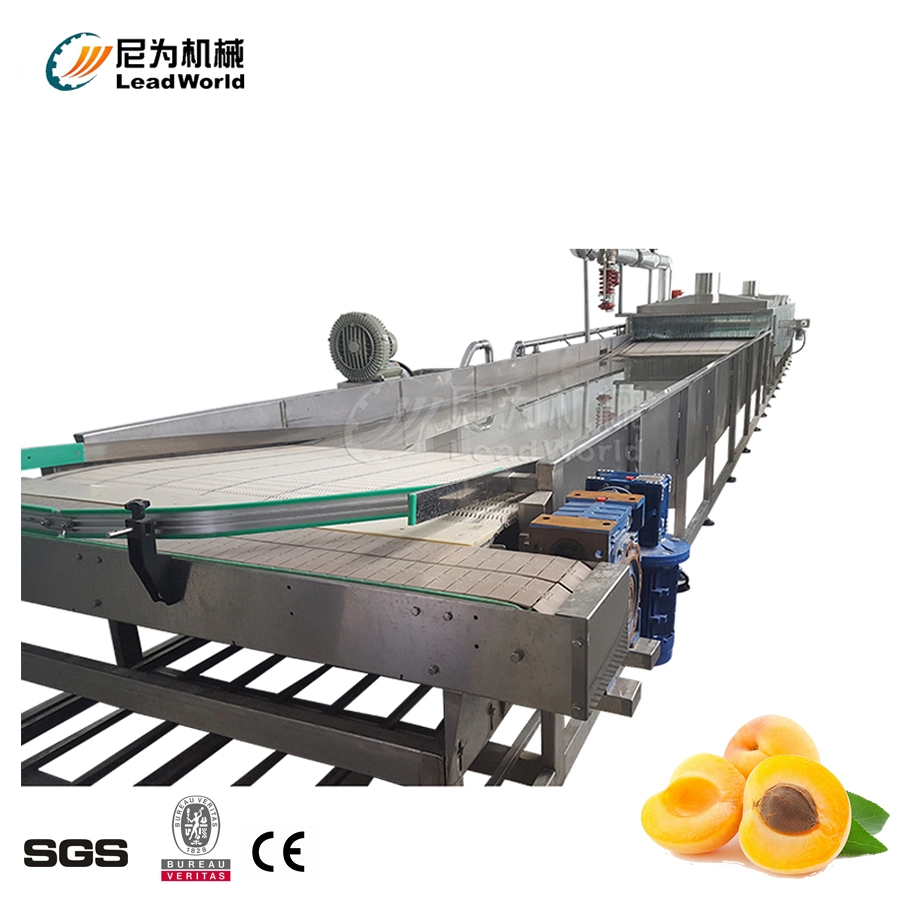 High Accuracy Automatic Fruit and Vegetable, Yellow Peach, Strawberry, Hawthorn, Canned Coconut Fruit Production Line