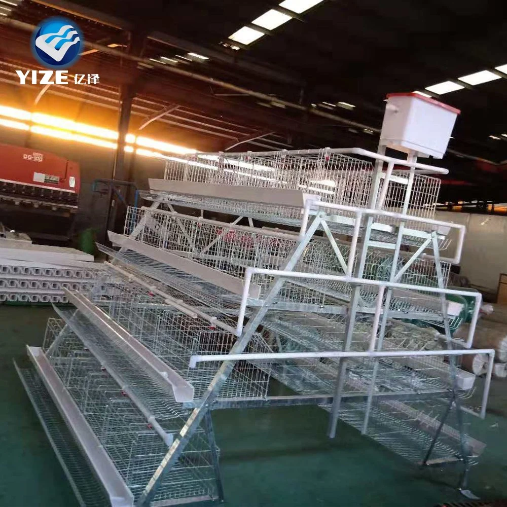 Layer Poultry Farm Chicken Cage Single a Type Hot-Dipped Galvanized Feeder Large