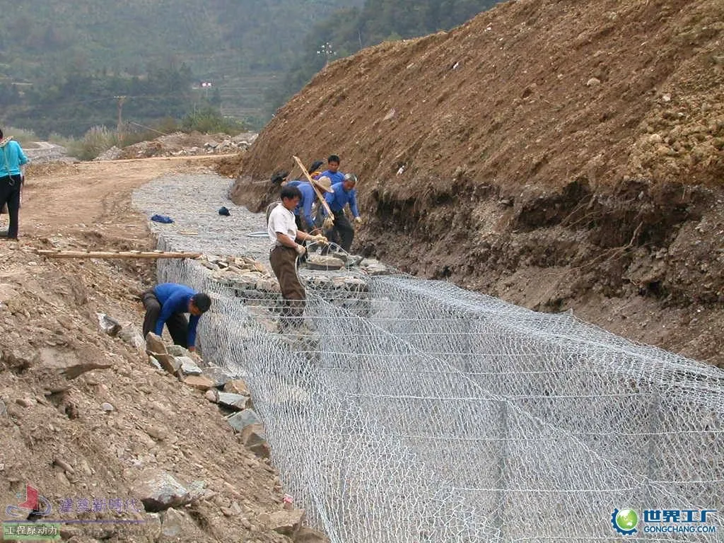 Gabion Box /Gabion Mattress/Gabion for Philippines Market (80*100, 3mX1mX0.5m)